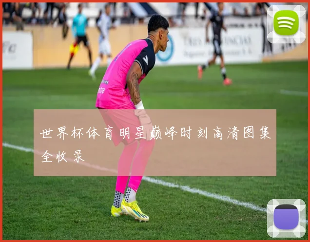 世界杯体育明星巅峰时刻高清图集全收录