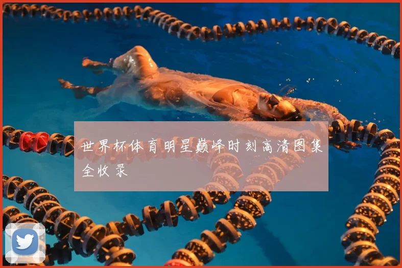 世界杯体育明星巅峰时刻高清图集全收录