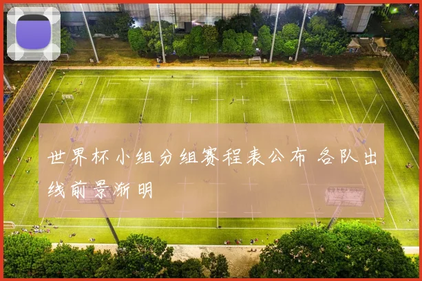 世界杯小组分组赛程表公布 各队出线前景渐明