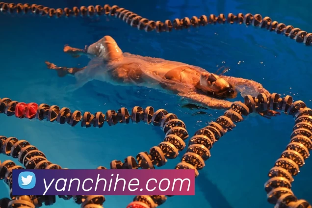 pg娱乐电子游戏官网版 - pg电子游戏入口品牌故事